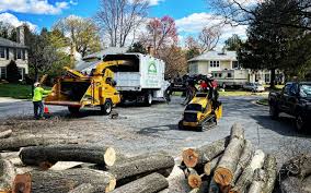 Best Stump Grinding and Removal  in Hudson, WI